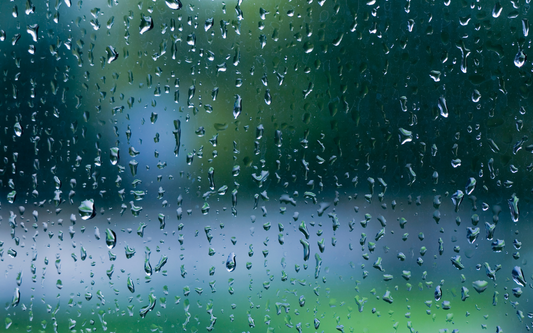 Ensuring Safe Rainwater: Choosing the Right Filtration System