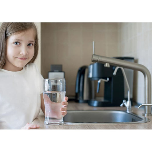 Choosing the Right Water Filter for Your New Zealand Home