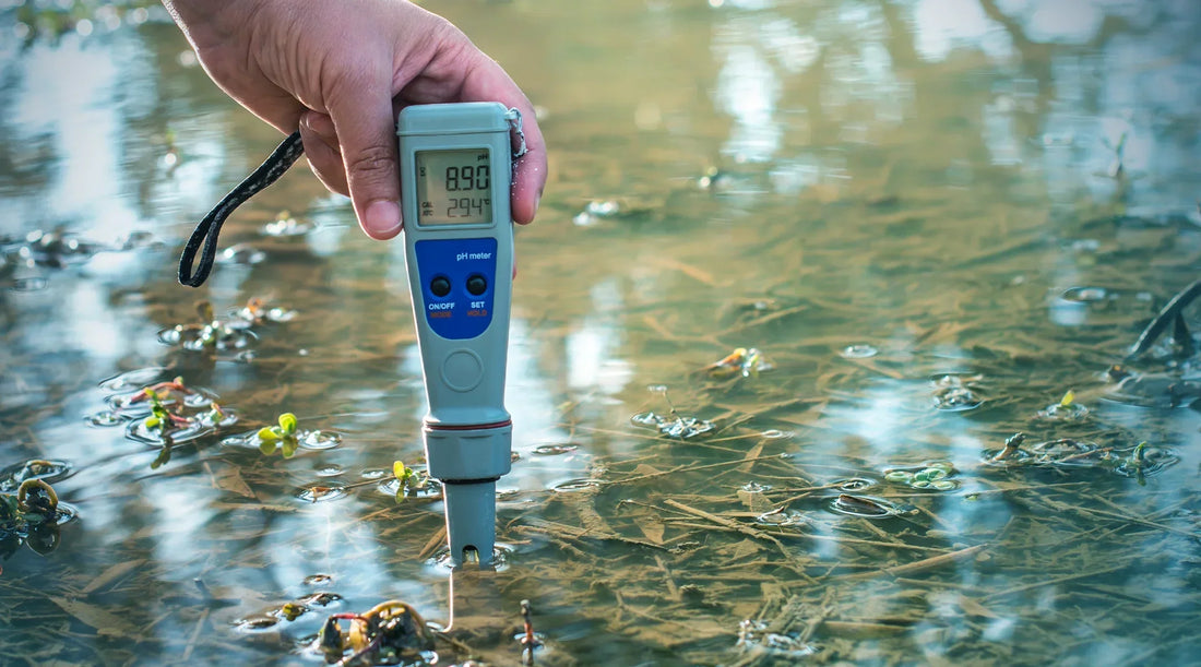 pH water filter NZ